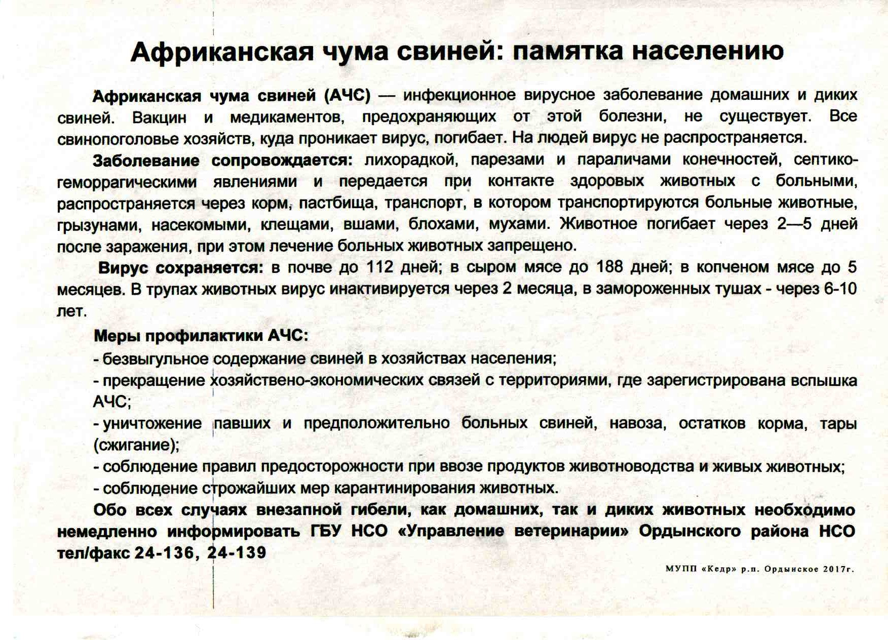 Африканская чума свиней: памятка населению